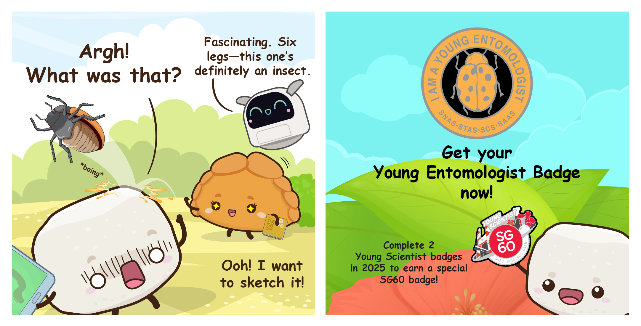 Two-panel comic where concluding the insect identification lesson as a beetle bounces off Bouncy's head, followed by a promotion to earn the "Young Entomologist Badge" and an SG60 commemorative badge.